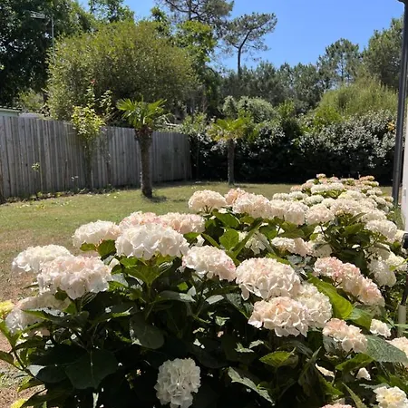 Villa Location Entre Et Ocean Avec Son De Nage