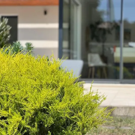 Villa Location Entre Et Ocean Avec Son De Nage