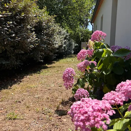 Location Entre Et Ocean Avec Son De Nage Carcans