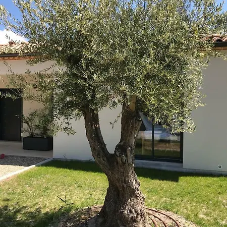 Villa Location Entre Et Ocean Avec Son De Nage