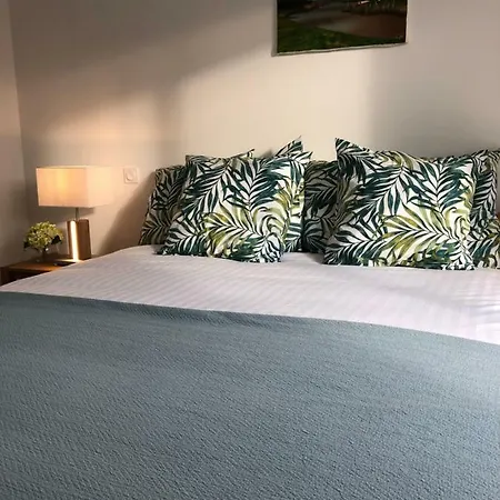 Villa Location Entre Et Ocean Avec Son De Nage Carcans