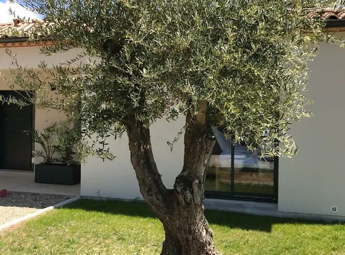 Villa Location Entre Et Ocean Avec Son De Nage