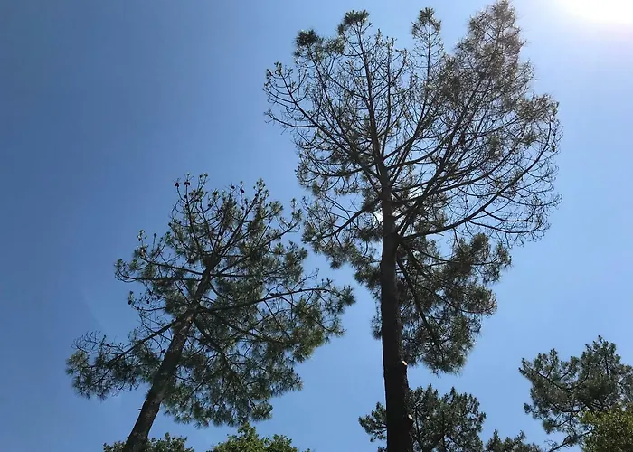 Location Entre Et Océan Avec Son De Nage Villa