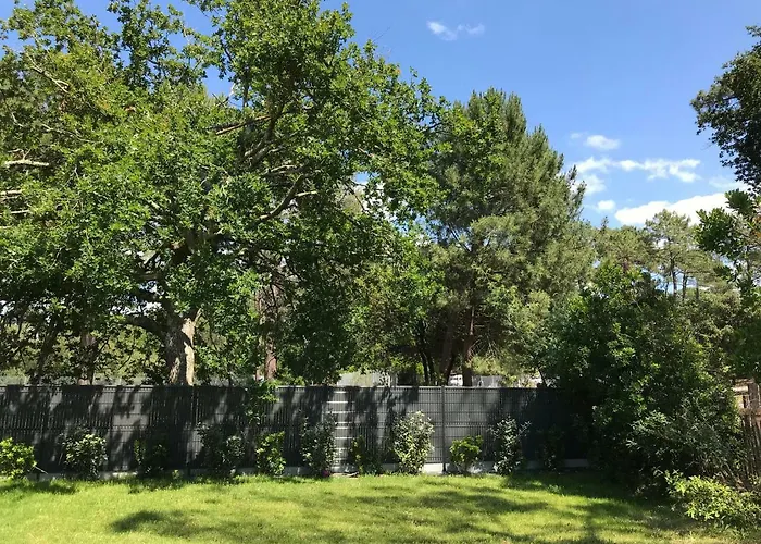 Location Entre Et Océan Avec Son De Nage Villa Carcans